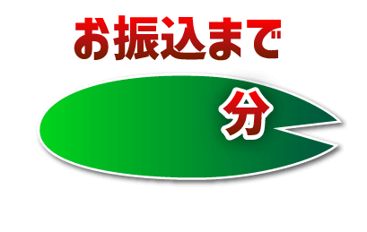 最短時間でお振込み